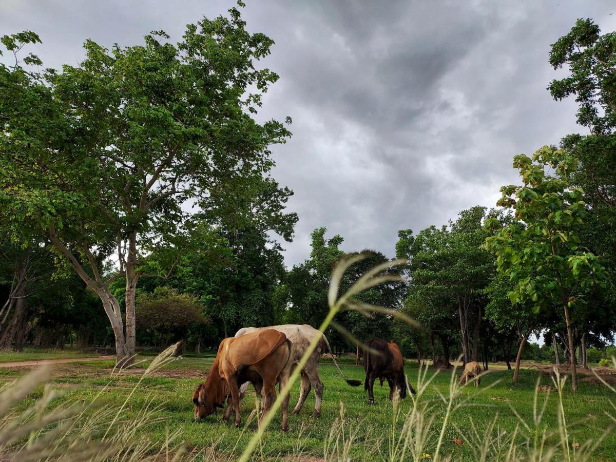 Mueang Kao Naracha Resort מראה חיצוני תמונה